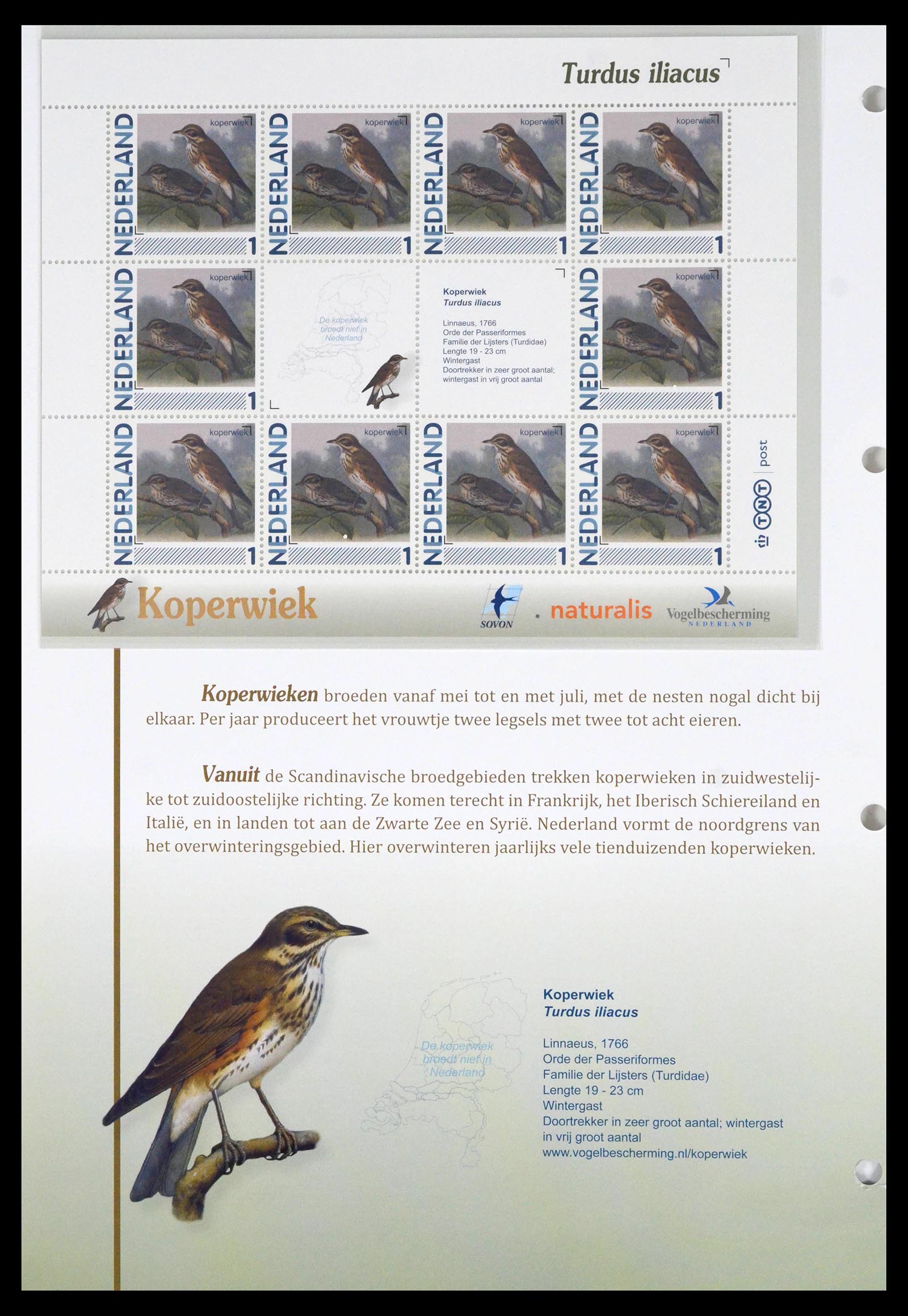 39794 0005 - Stamp collection 39794 Birds in the Netherlands.