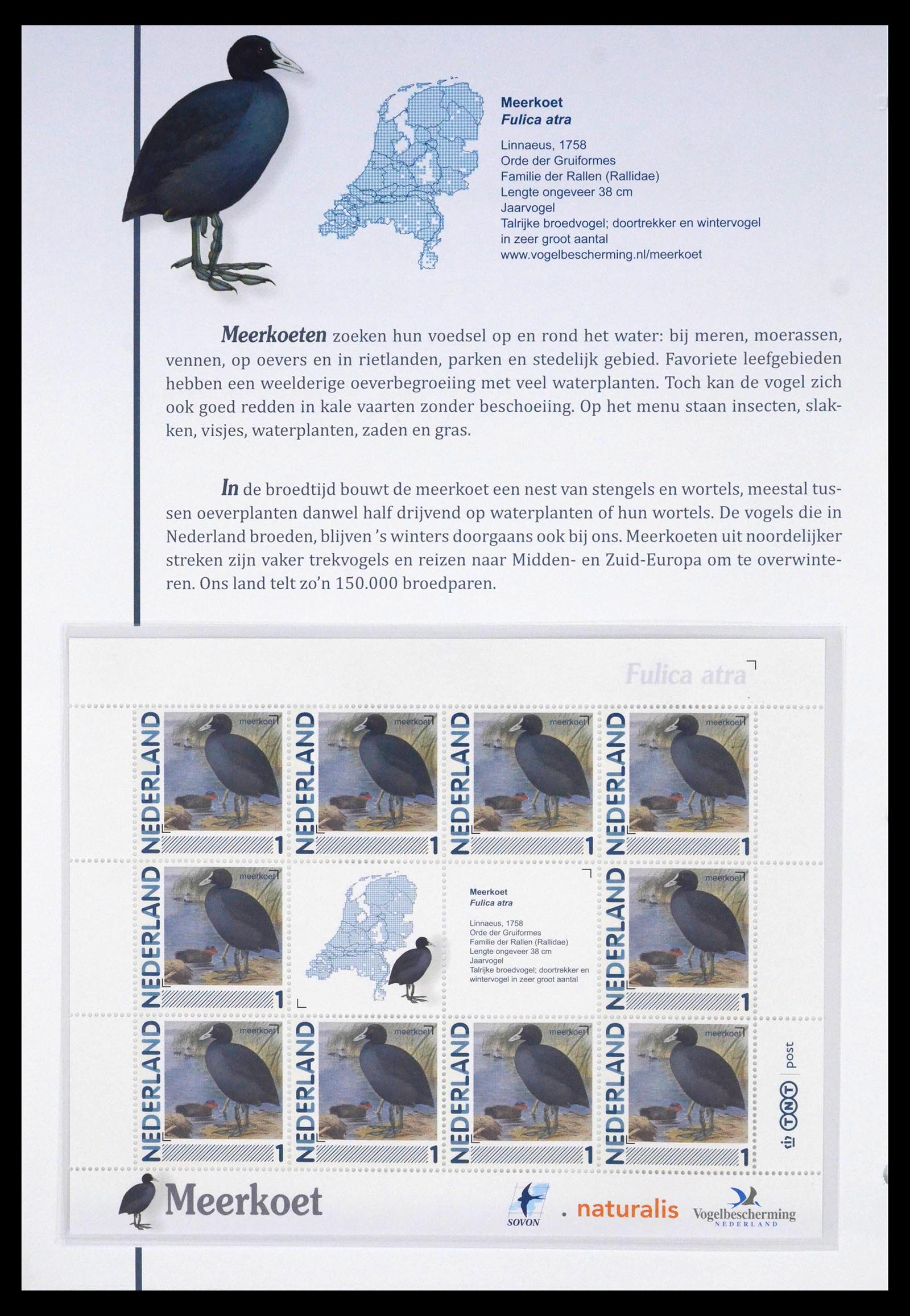 39794 0006 - Postzegelverzameling 39794 Vogels in Nederland.