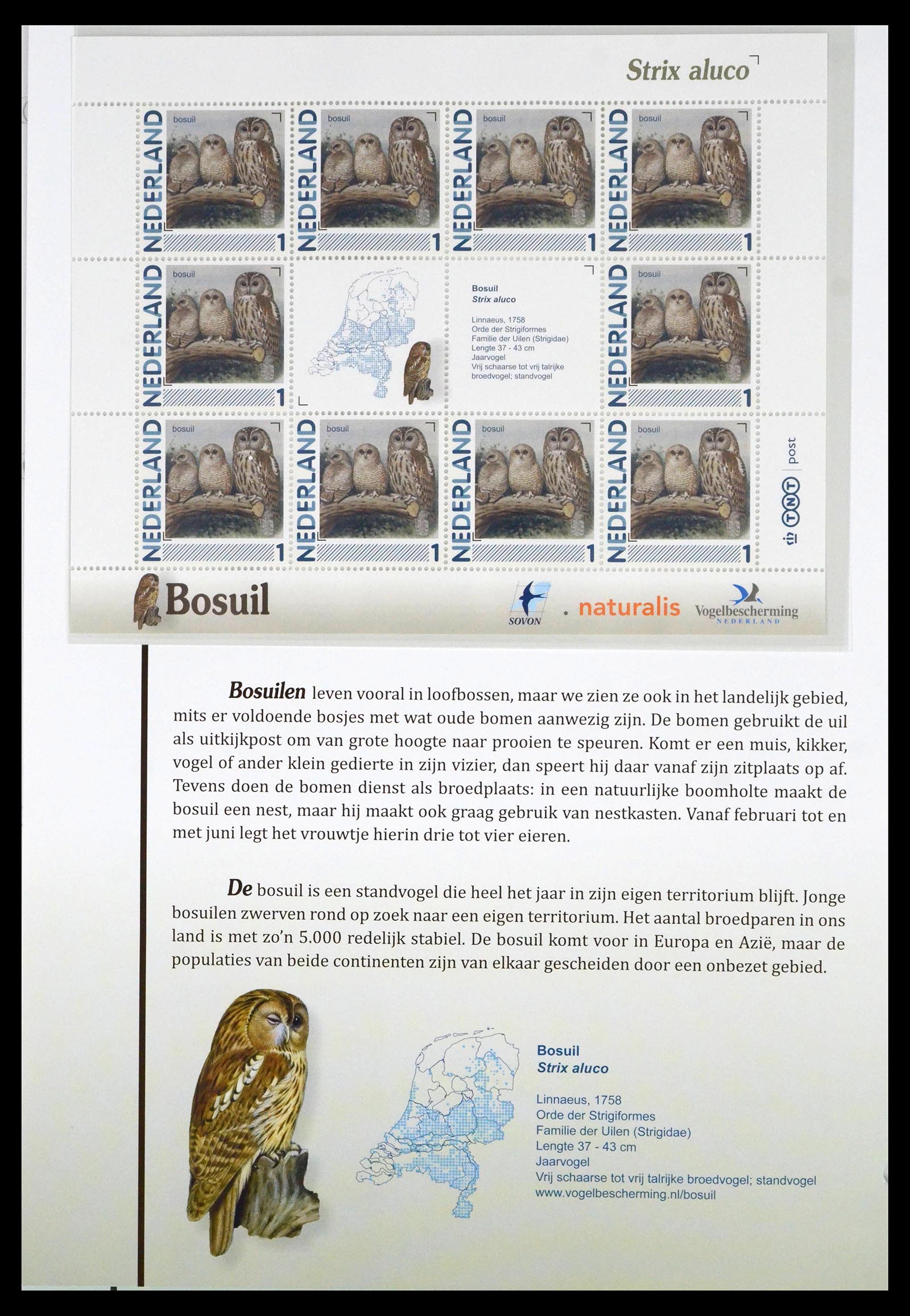 39794 0008 - Stamp collection 39794 Birds in the Netherlands.