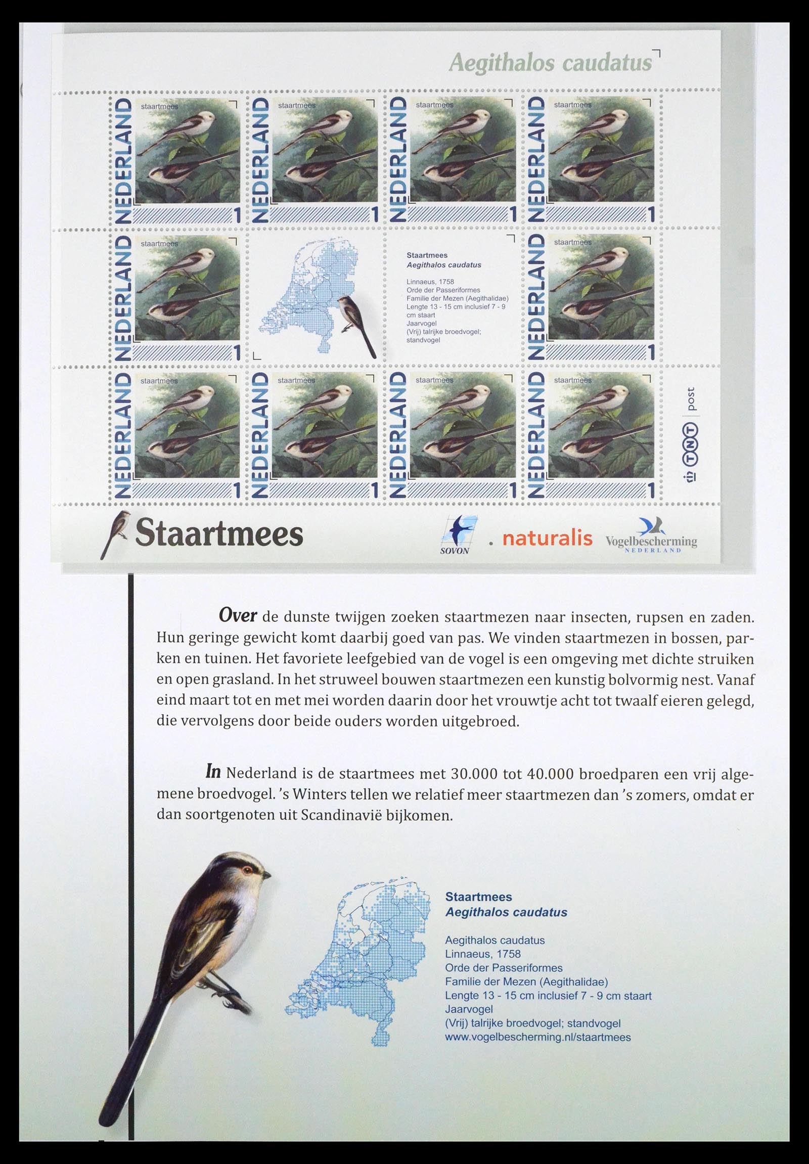 39794 0009 - Stamp collection 39794 Birds in the Netherlands.