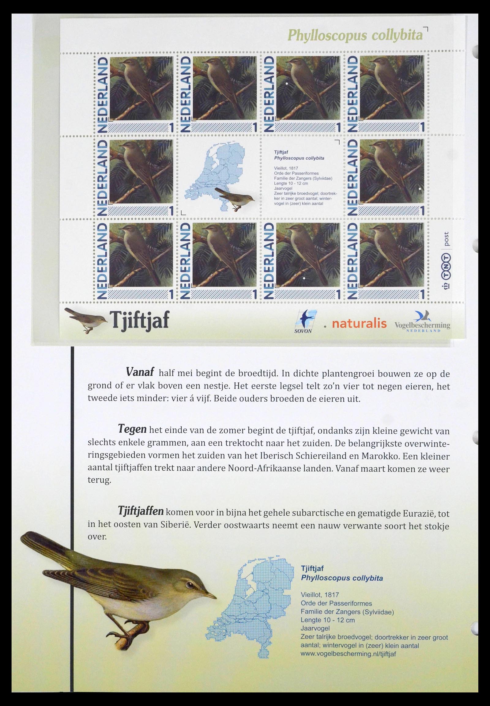 39794 0010 - Postzegelverzameling 39794 Vogels in Nederland.