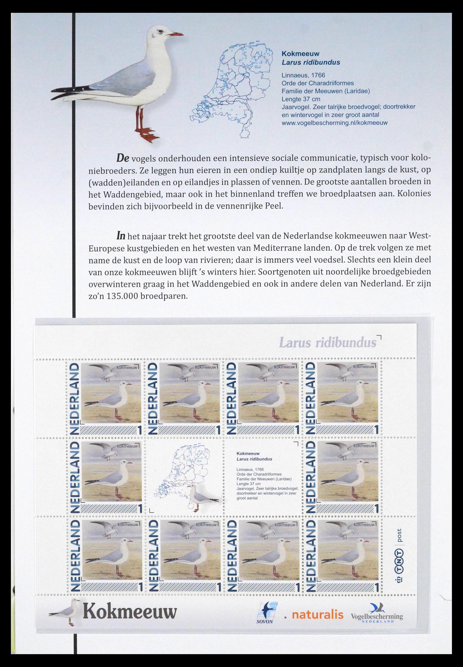 39794 0011 - Postzegelverzameling 39794 Vogels in Nederland.