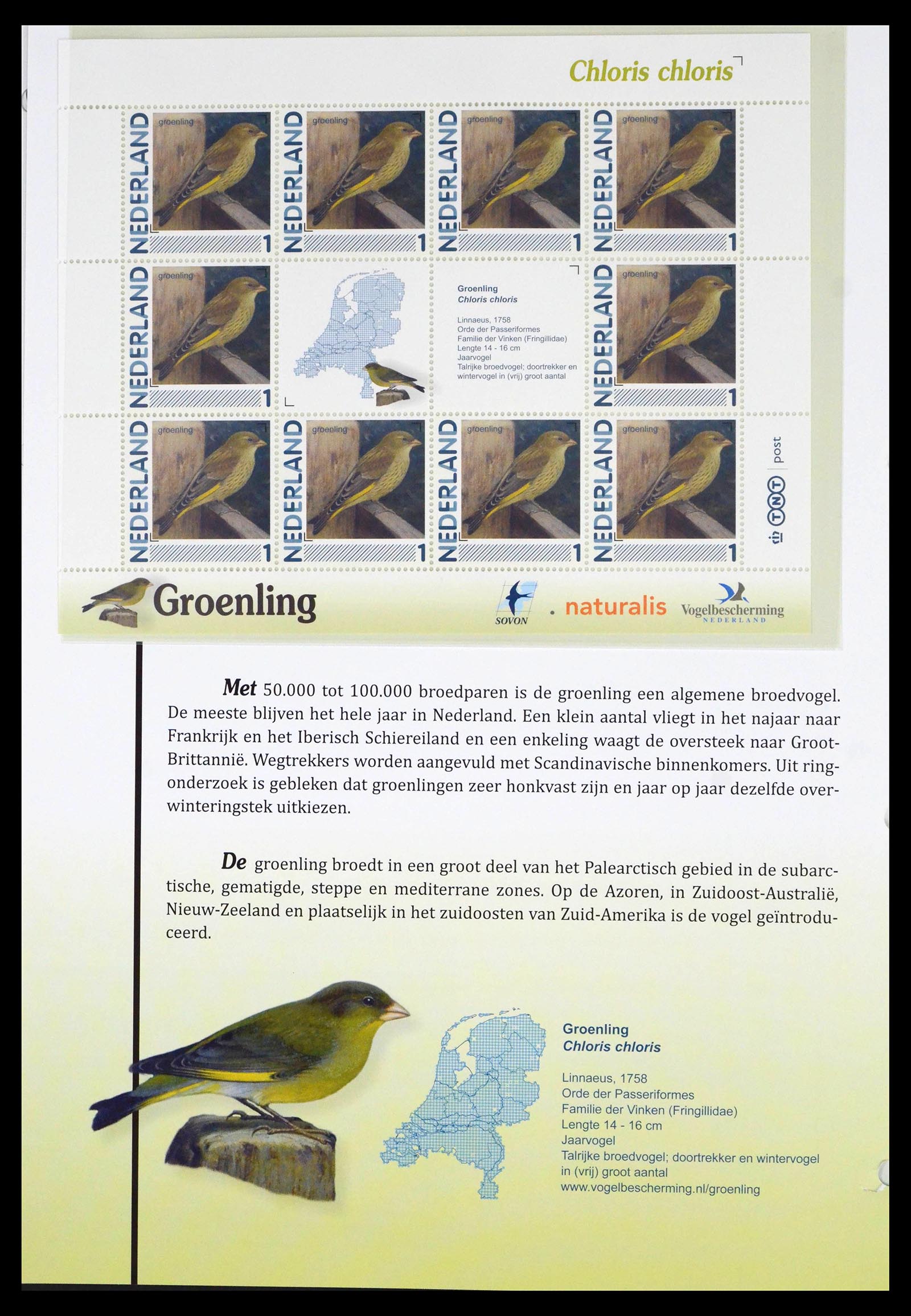 39794 0012 - Stamp collection 39794 Birds in the Netherlands.