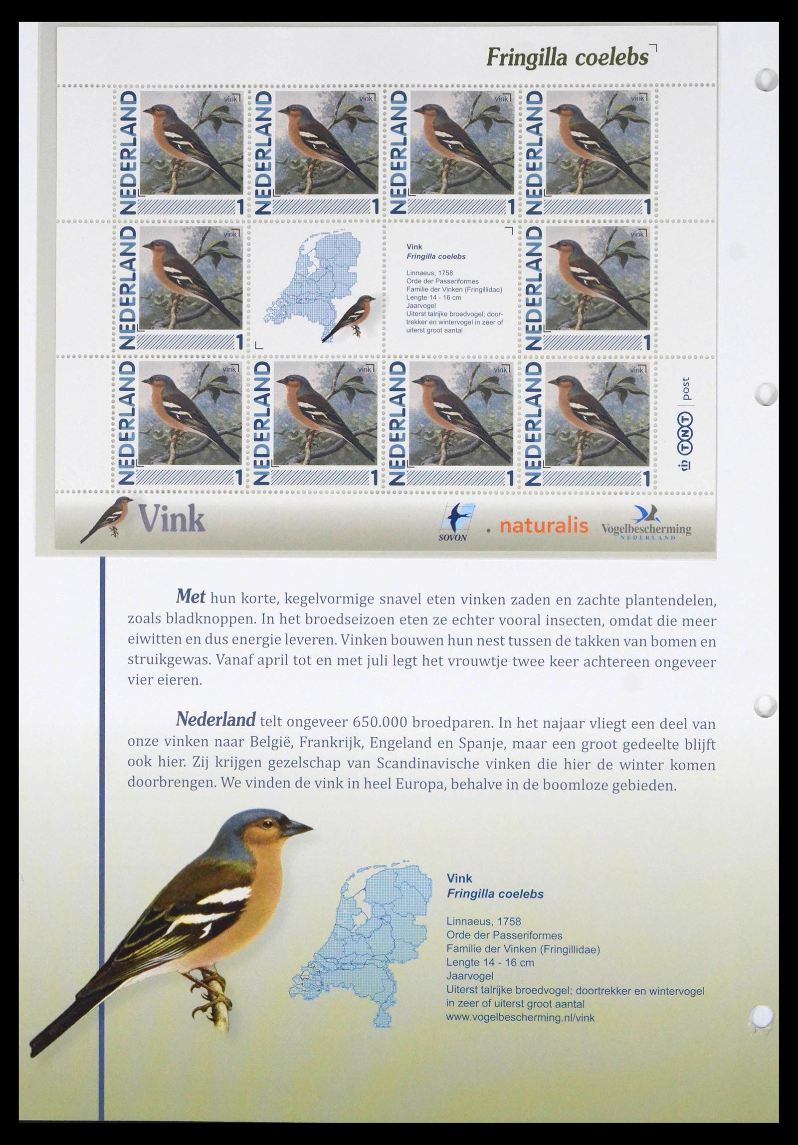 39794 0013 - Stamp collection 39794 Birds in the Netherlands.