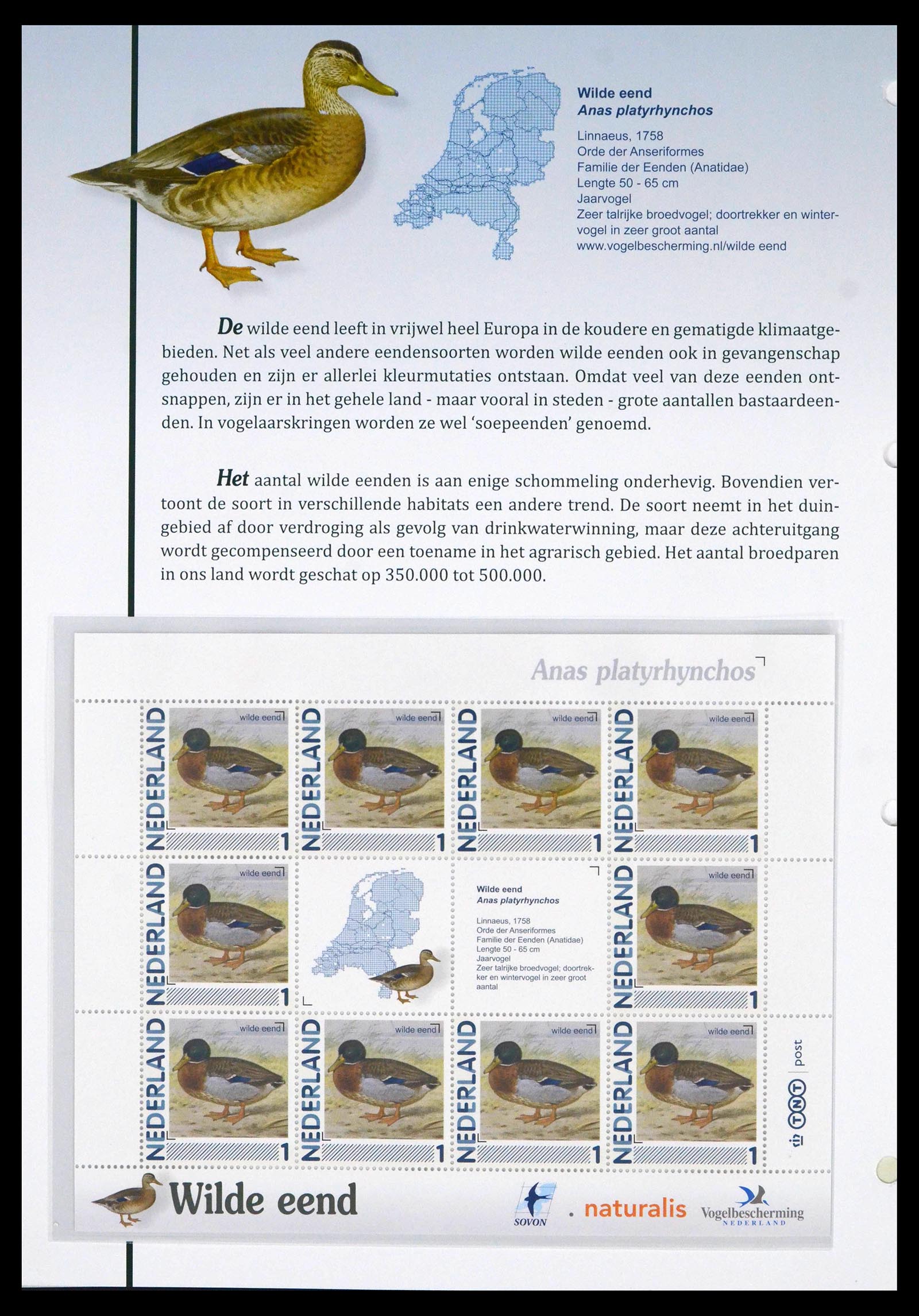 39794 0014 - Postzegelverzameling 39794 Vogels in Nederland.