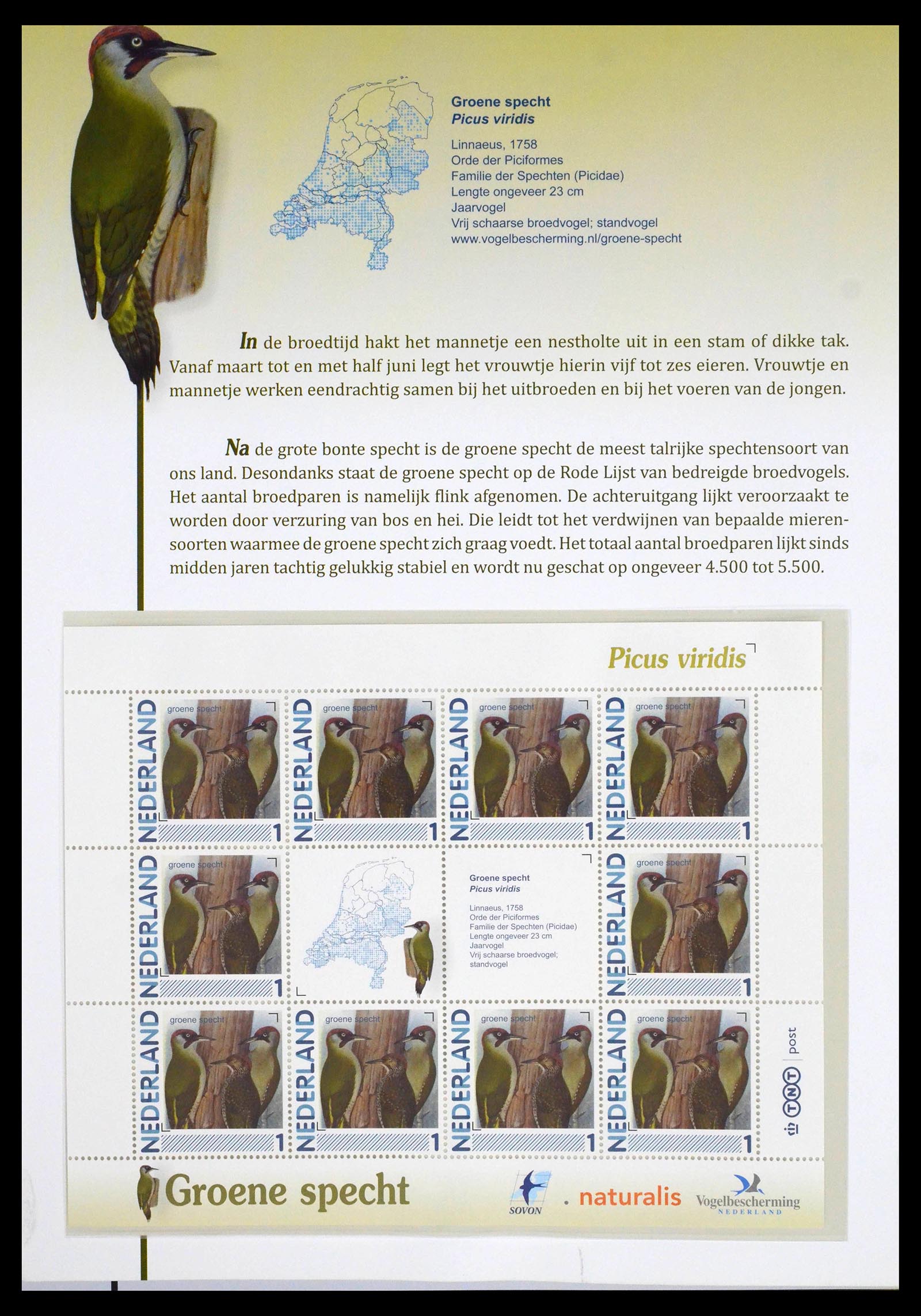 39794 0015 - Postzegelverzameling 39794 Vogels in Nederland.