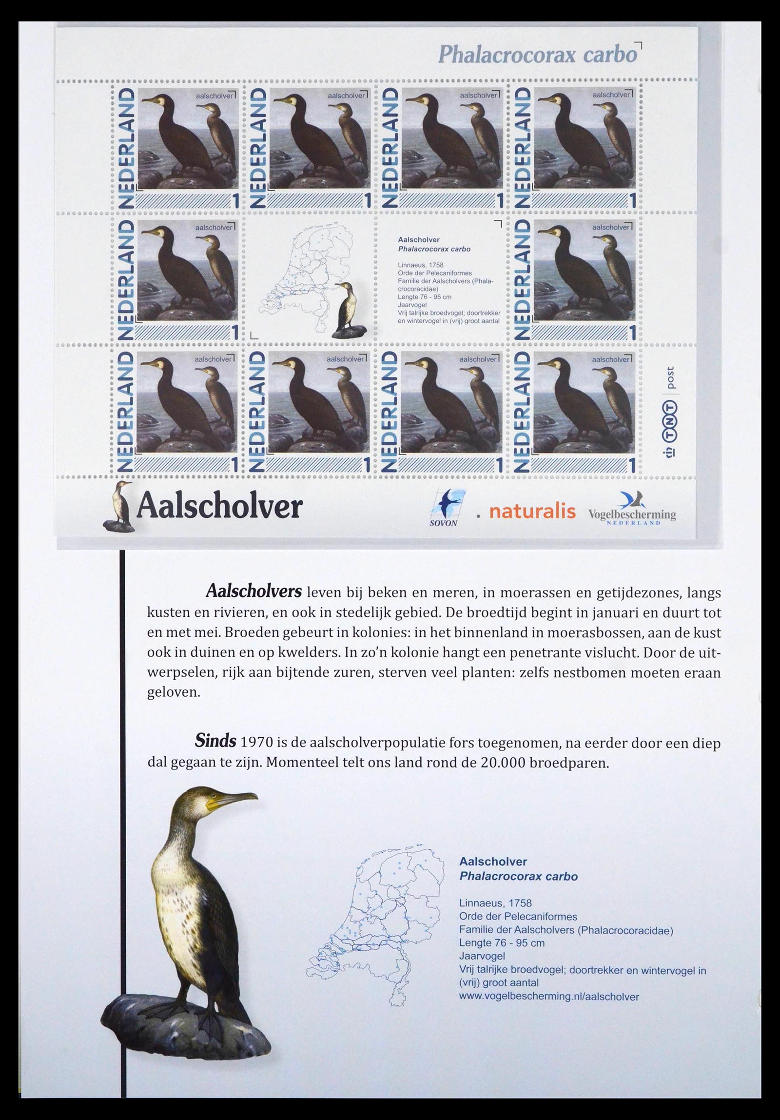 39794 0016 - Stamp collection 39794 Birds in the Netherlands.