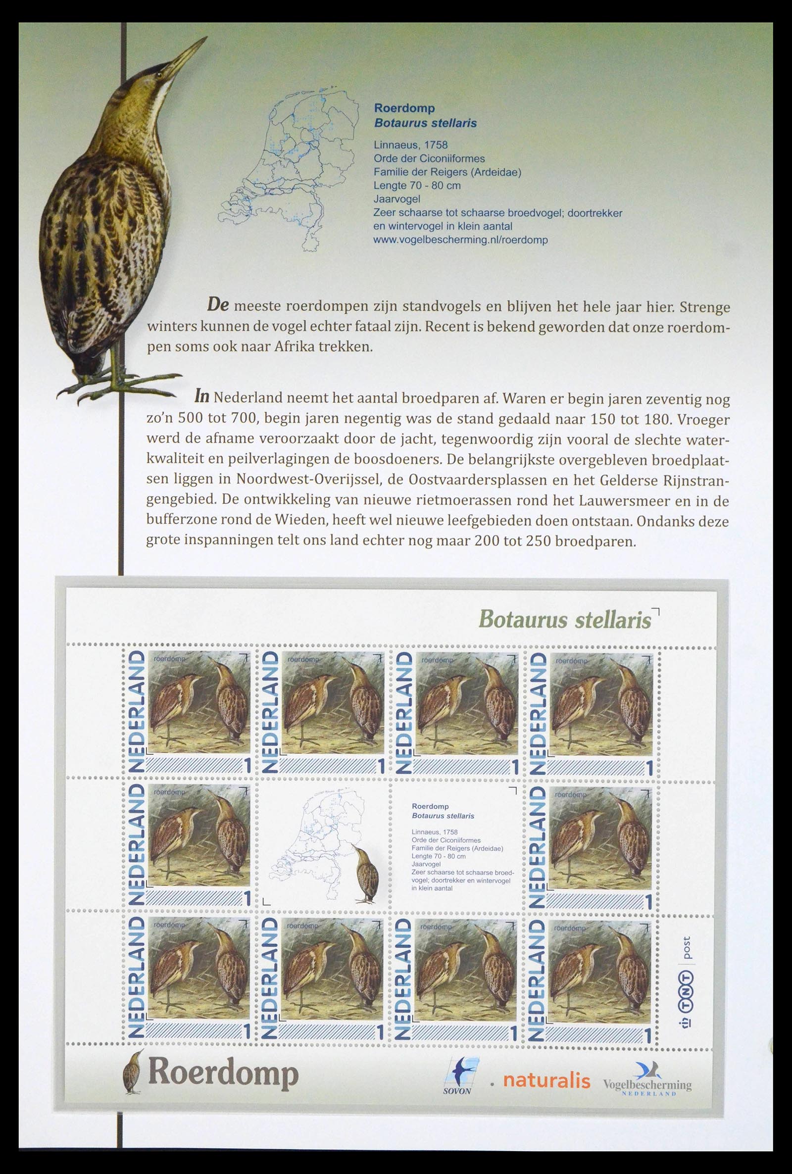 39794 0017 - Postzegelverzameling 39794 Vogels in Nederland.