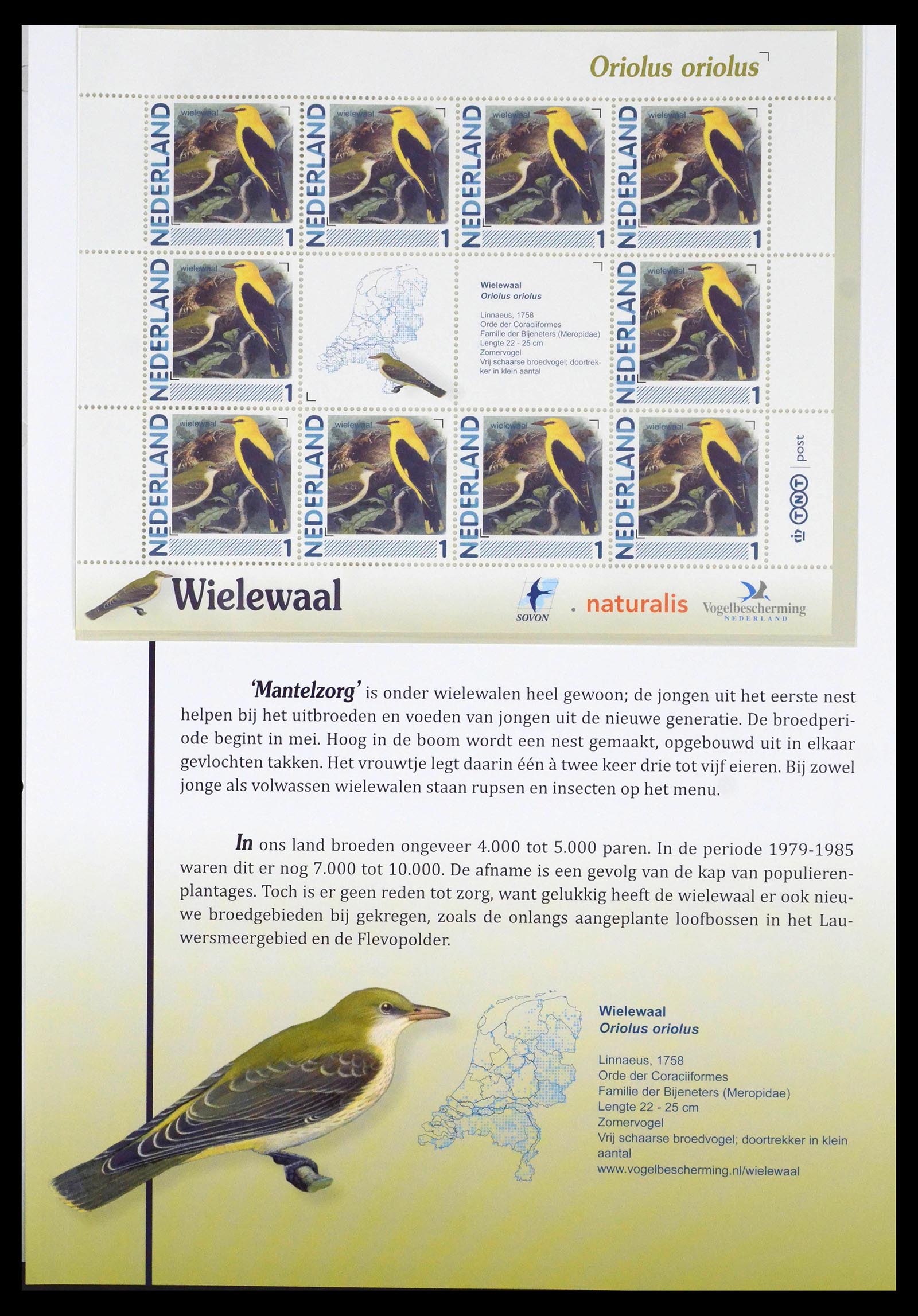 39794 0018 - Stamp collection 39794 Birds in the Netherlands.