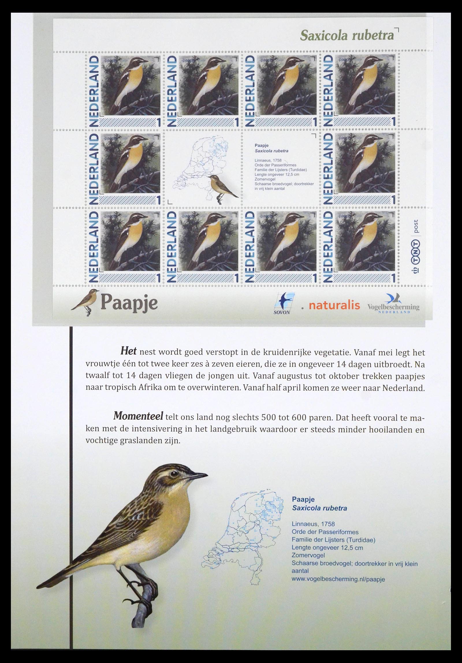 39794 0019 - Postzegelverzameling 39794 Vogels in Nederland.