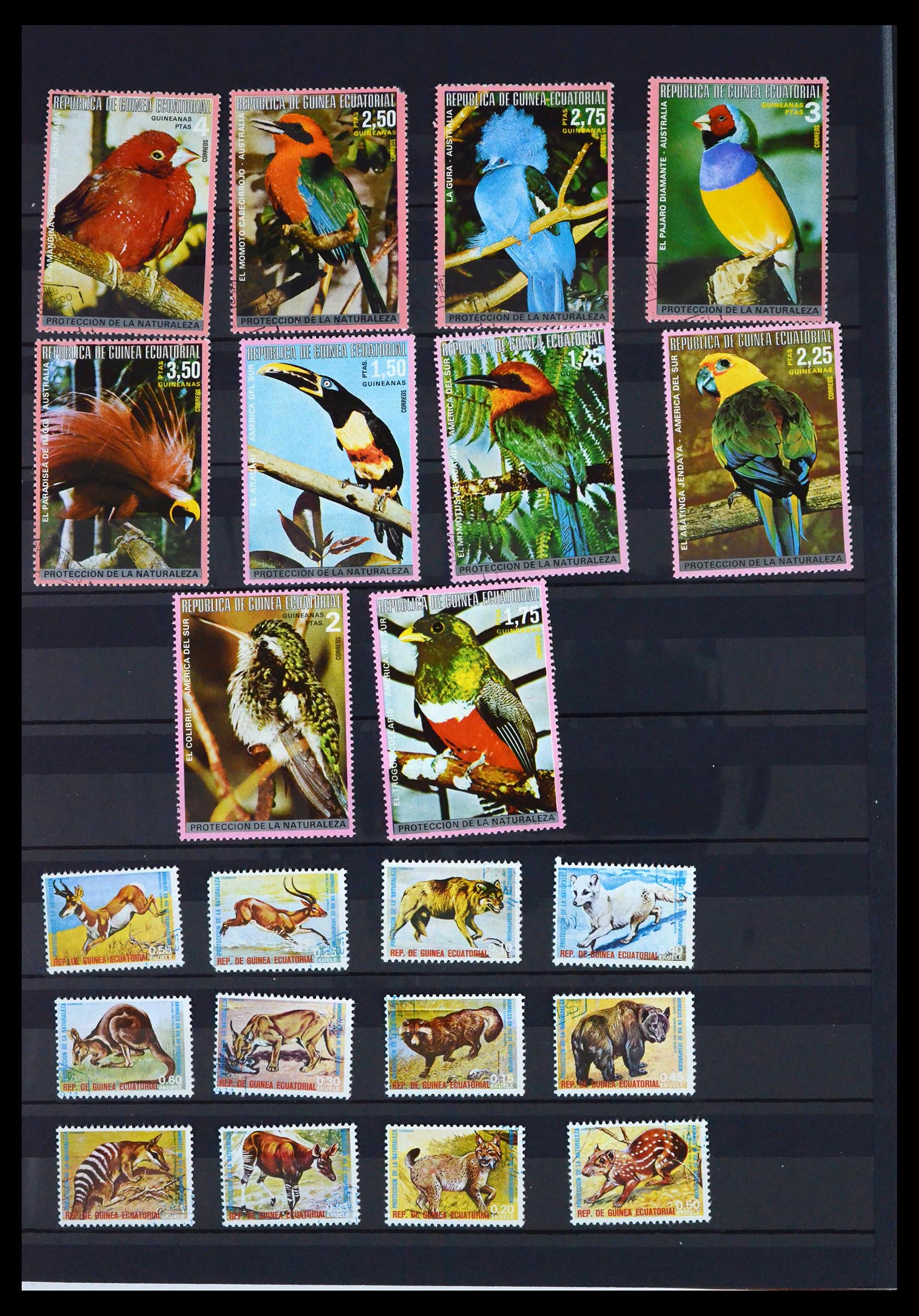 39822 0019 - Stamp collection 39822 Equatorial Guinea.