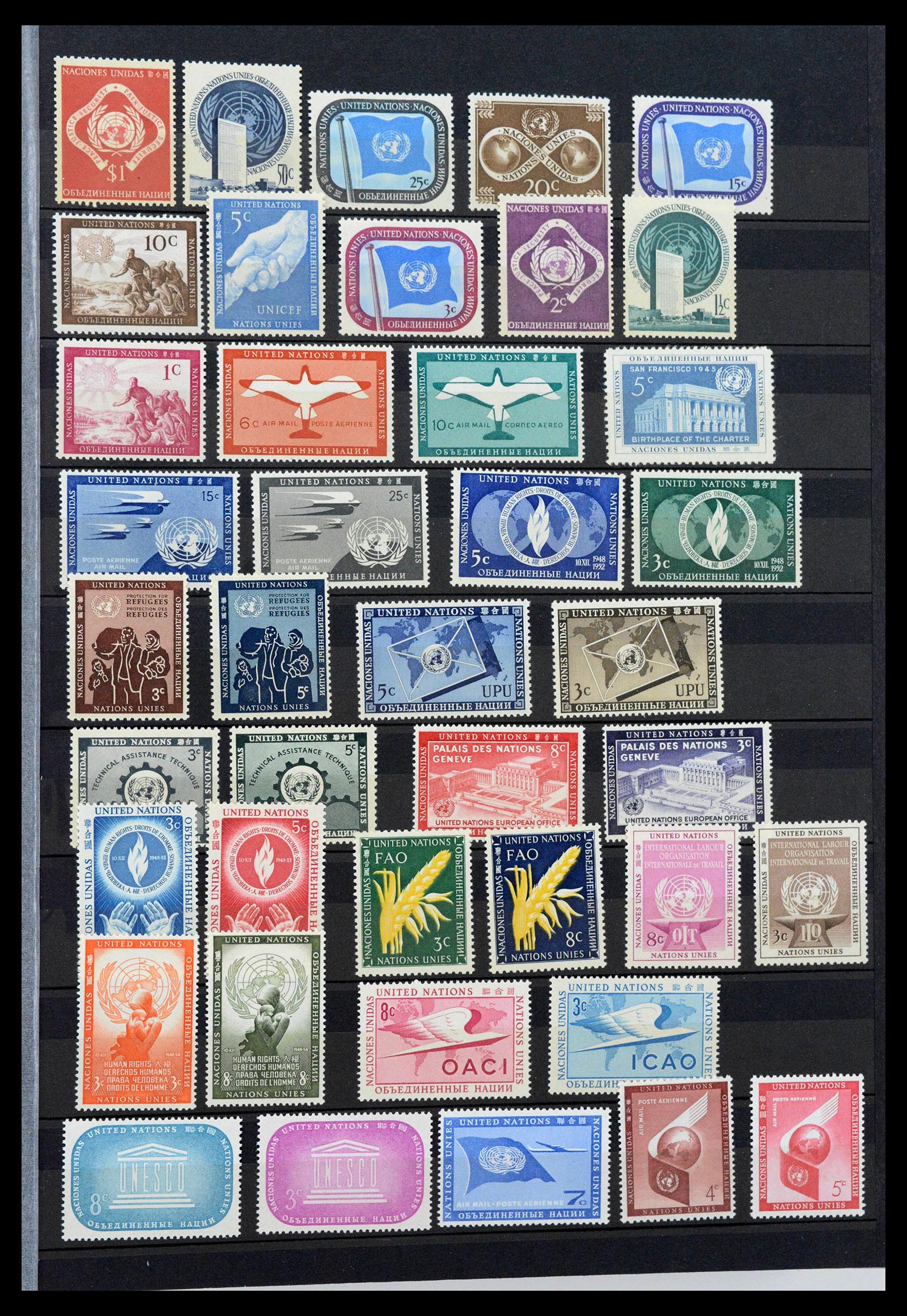 39826 0001 - Stamp collection 39826 Verenigde Naties 1951-2005.