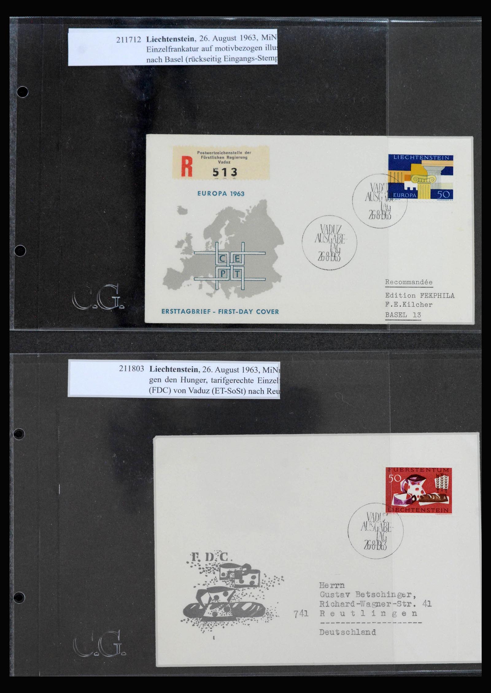 39978 0010 - Stamp collection 39978 Liechtenstein FDC's 1964-2022.