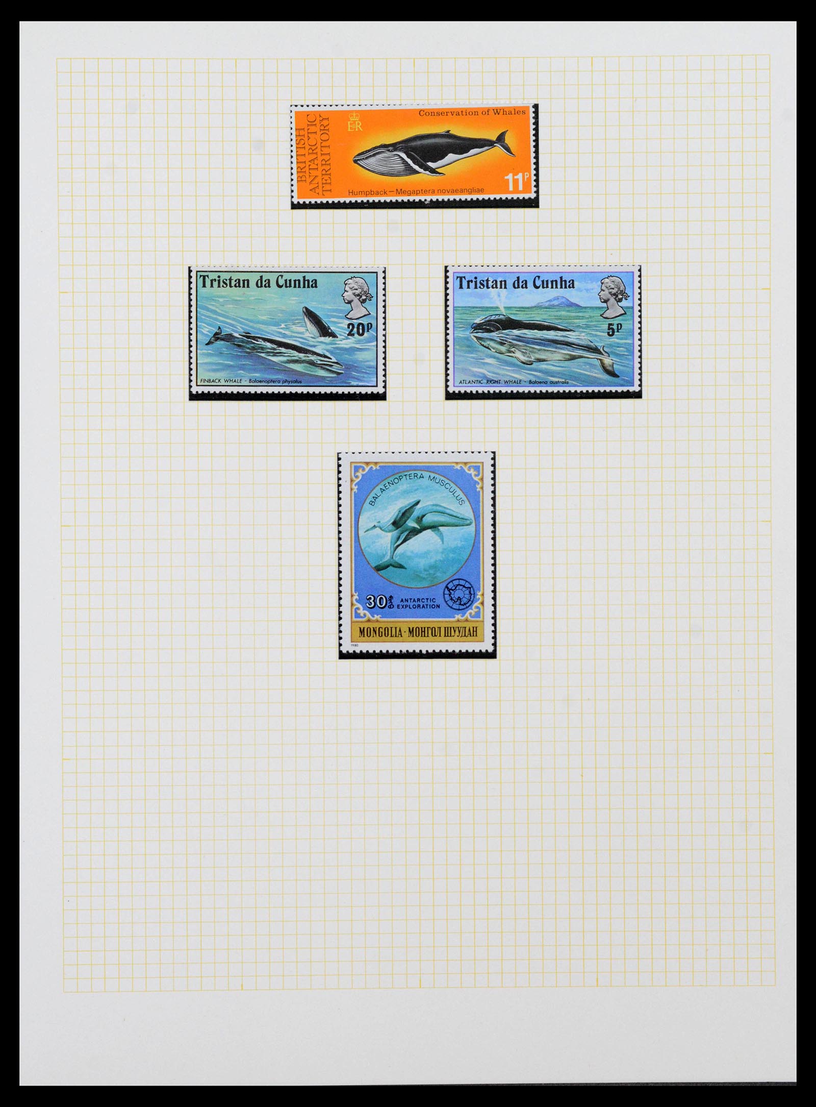 40018 0019 - Stamp collection 40018 Antarctica 1940-1990.