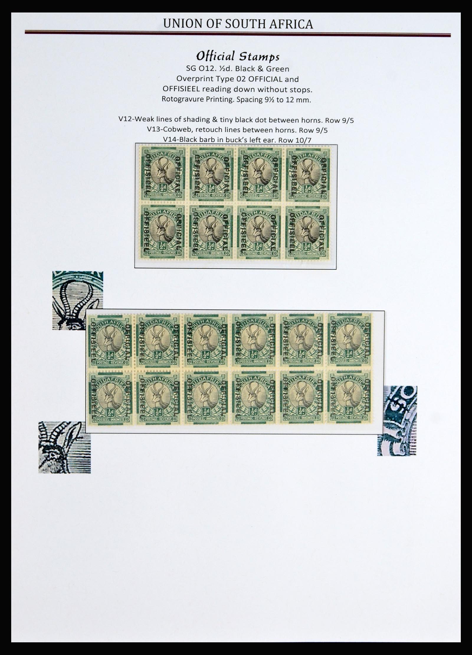 40233 0019 - Stamp collection 40233 South Africa officials 1926-1954.