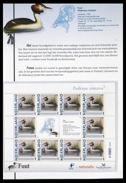 Postzegelverzameling 39794 Vogels in Nederland.